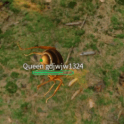 An Ant With Queen Gdjwjw1324 On It GIF