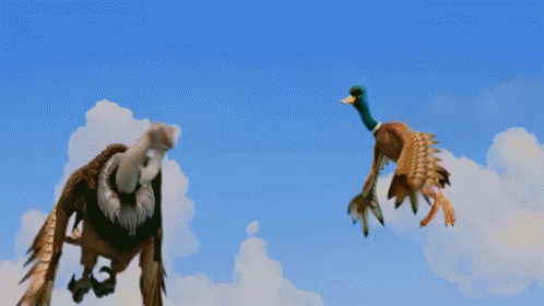 An Eagle And A Duck Flying In The Sky GIF