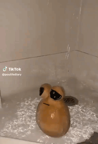 An Egg Is Floating In A Bathtub With A Hole In It . GIF