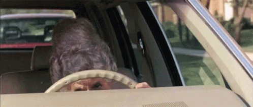 An Elderly Man Is Driving A Car With A Dog Behind The Steering Wheel GIF