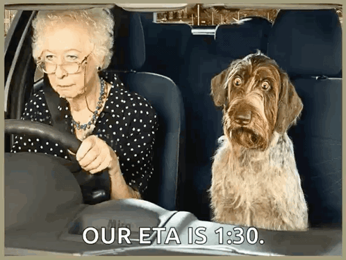An Elderly Woman Is Driving A Car With A Dog In The Back Seat And The Caption Our Eta Is 1:30 GIF