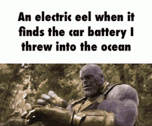 An Electric Eel When Finds Car GIF