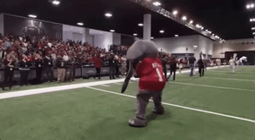 An Elephant Mascot Wearing A Red Shirt With The Number 1 On It Is Dancing On A Football Field . GIF