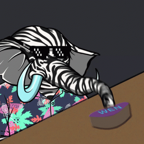 An Elephant Wearing Sunglasses And A Shirt That Says Tigers GIF