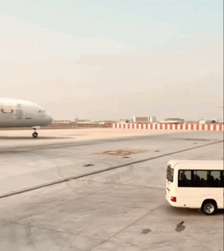 An Emirates Airplane Is Sitting On The Runway GIF