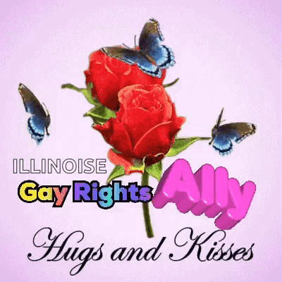 An Illinois Gay Rights Ally Hugs And Kisses Card GIF