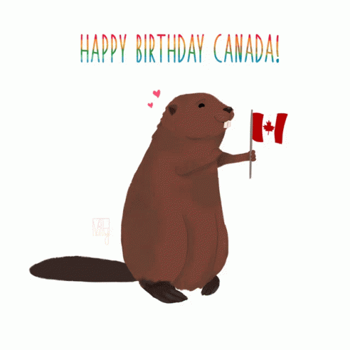 an illustration of a beaver holding a canadian flag with the words happy birthday canada
