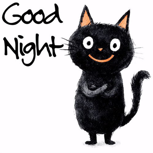 An Illustration Of A Black Cat With The Words Good Night Written Below It GIF