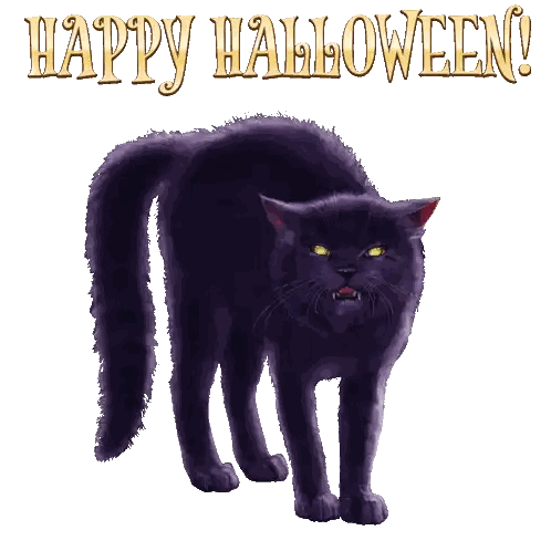 an illustration of a black cat with yellow eyes and the words happy halloween