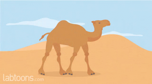 An Illustration Of A Camel In The Desert With Labtoons.com Written Below It GIF
