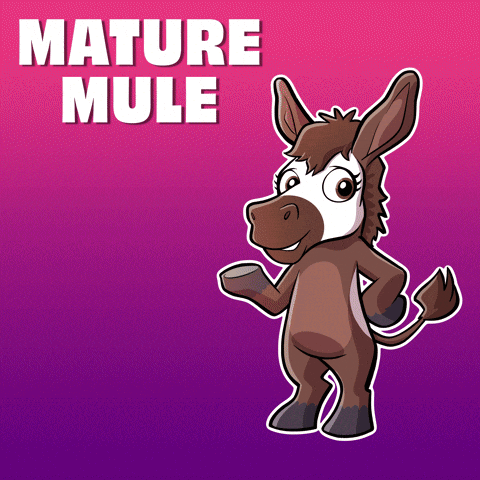 An Illustration Of A Donkey With The Words Mature Mule Behind It GIF