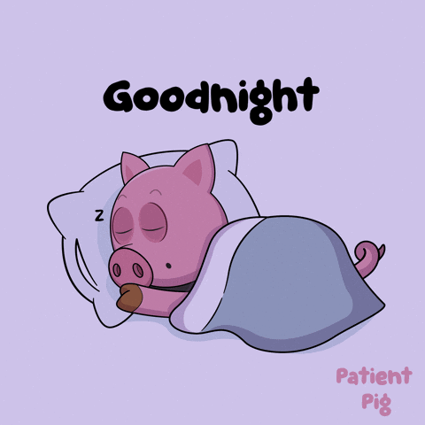 An Illustration Of A Pig Sleeping Under A Blanket With The Words Goodnight Patient Pig Below It GIF
