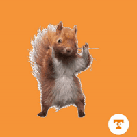 An Illustration Of A Squirrel With The Letter T In The Circle Below It GIF