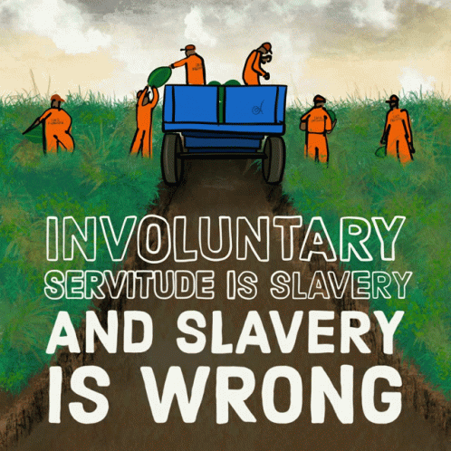 An Involuntary Servitude Is Slavery And Slavery Is Wrong GIF