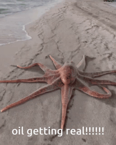 an octopus is laying on the beach with the words oil getting real