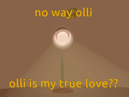 an open book with a ring and the words " no way olli olli is my true love " on it