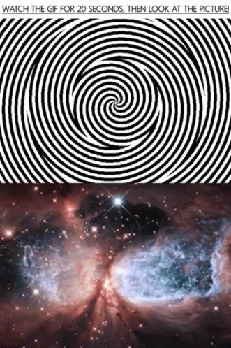 Optical Illusion Gif Then Look At Picture GIF