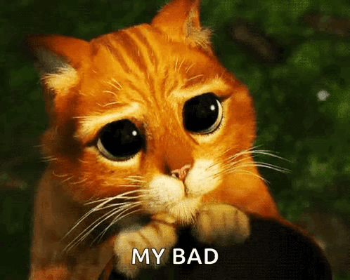 An Orange Cat With Big Eyes Is Holding A Black Object With The Words My Bad Written Below It GIF
