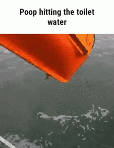 An Orange Pillow Is Floating In The Water With The Words Poop Hitting The Toilet Water Below It . GIF