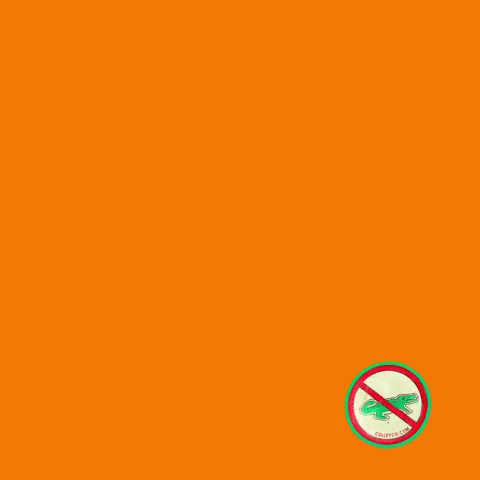 An Orange Sign Says Go Vols Beat Florida GIF