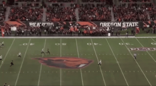 An Oregon State Football Game Is Being Played GIF