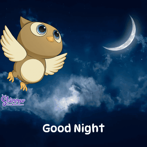 An Owl Is Flying In The Night Sky With The Words Good Night Written Below It GIF