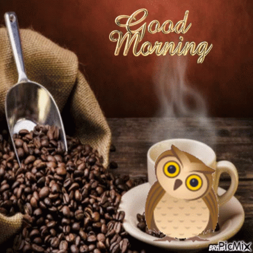 An Owl Is Sitting On A Saucer Of Coffee Next To A Bag Of Coffee Beans GIF
