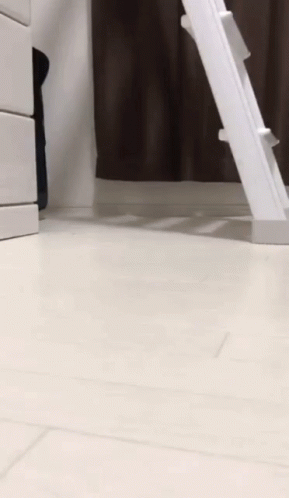 An Owl Is Standing On Its Hind Legs Next To A White Ladder GIF