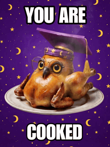 An Owl With Glasses And A Graduation Cap Is On A Plate With The Words You Are Cooked Below It GIF