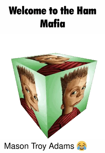 an upside down picture of mason troy adams with the words welcome to the ham mafia