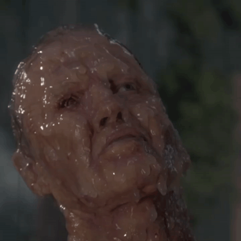 Anaconda Snake Saliva GIF