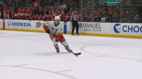 Anaheim Ducks Isac Lundestrom GIF