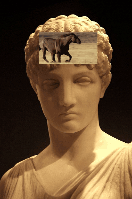 Ancient Greek Statue Overthinking Horse Running GIF