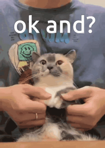 Ok And Dancing Cat GIF