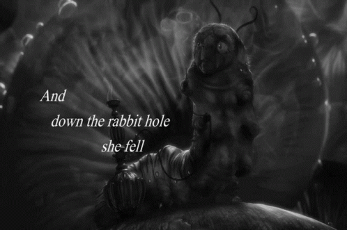 And Down The Rabbit Hole She Fell GIF