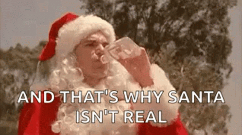 And That's Why Drunk Santa Isn't Real GIF