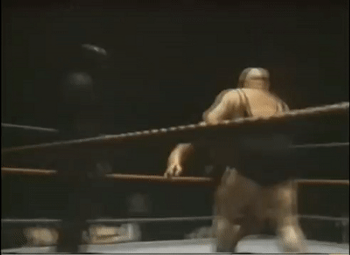 Andre The Giant Carrying Hulk Hogan GIF