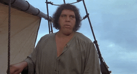 Andre The Giant I Don't Think It's Right GIF