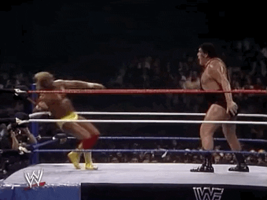 Andre The Giant Kick In The Ring GIF