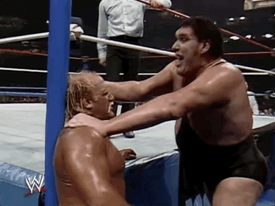 Andre The Giant Knock His Head GIF