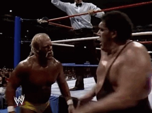 Andre The Giant Punch GIF