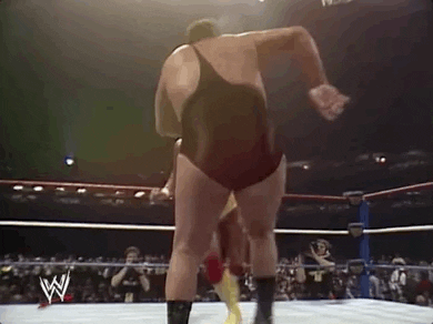 Andre The Giant Versus Hulk Hogan GIF