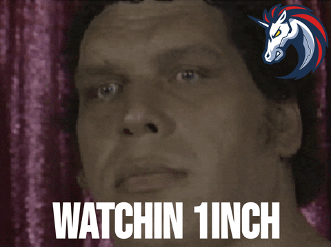Andre The Giant Watching One Inch GIF