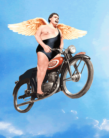 Andre The Giant With Wings GIF