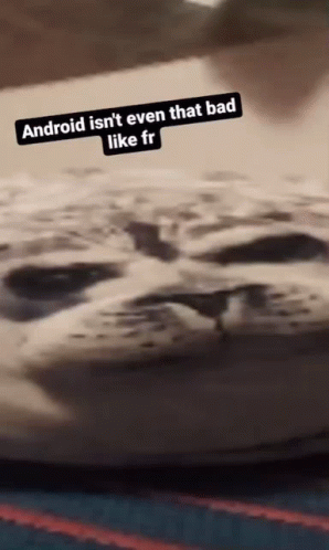 Android Meme Sarcastic Cat GIF