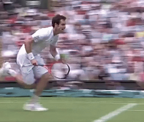 Andy Murray Hit By Ball GIF