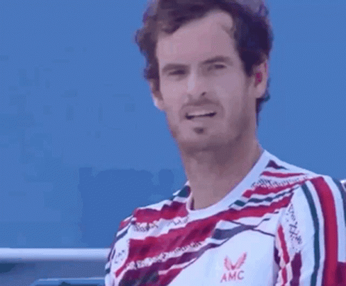 Andy Murray Okay Thumbs Up GIF