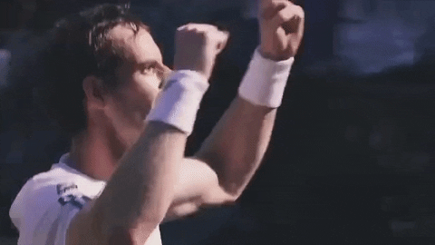 Andy Murray Victory GIF