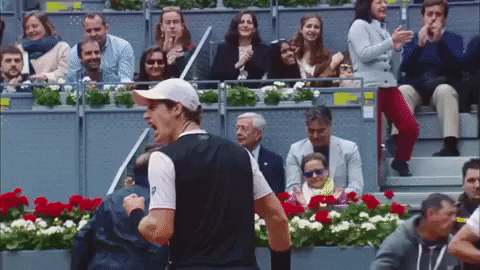 Andy Murray Yelling GIF