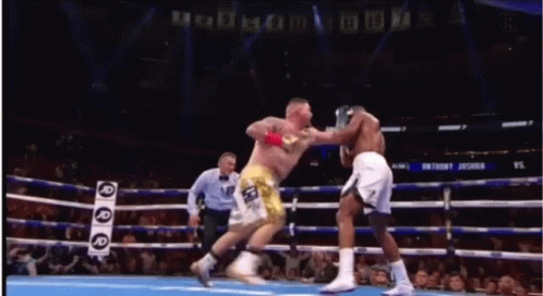 Andy Ruiz Knockout Anthony Joshua GIF